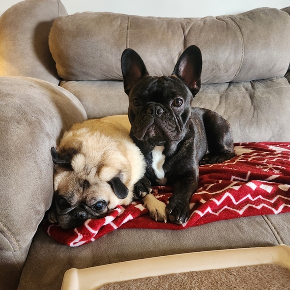 Meet your Posher, Posh - Picture 6 of 8